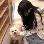 大航海之路网易官方版下载